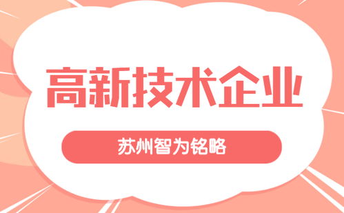蘇州企業(yè)服務(wù)公司申報(bào)高新技術(shù)企業(yè)的策略 985、211碩士團(tuán)隊(duì)的專業(yè)賦能